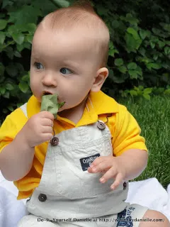 Baby eating leaves in a photo.