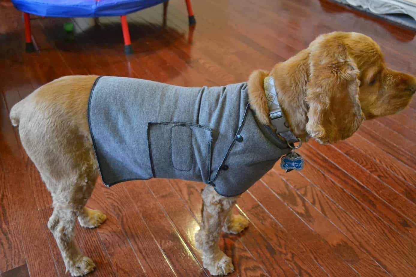 Anxiety Vest for Dogs, DIY DIY Danielle®