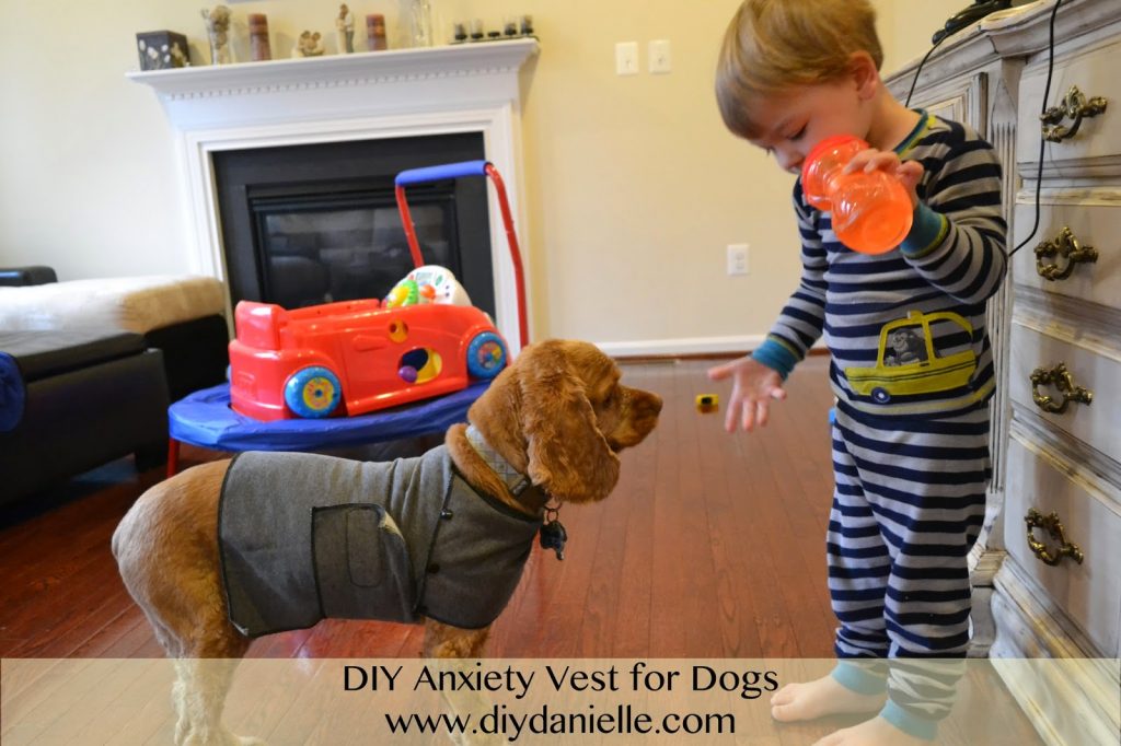 How to make your own anxiety vest for dogs