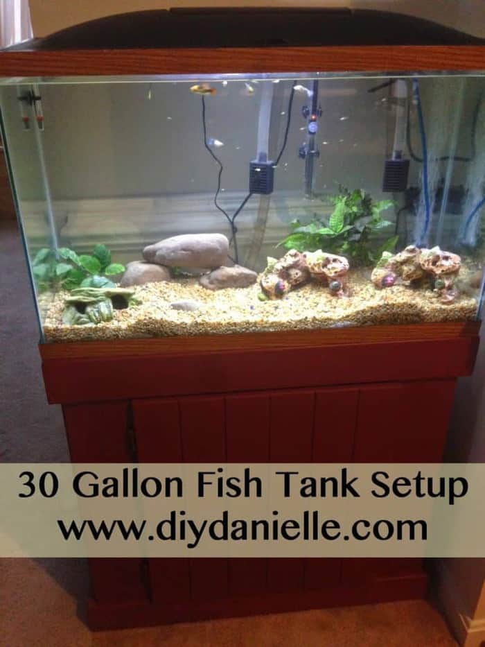 30 Gallon Fish Tank Setup - DIY Danielle®