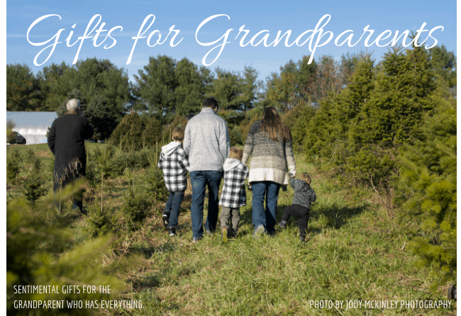 Great Gifts for Grandparents Who Have Everything 2022 - DIY Danielle®