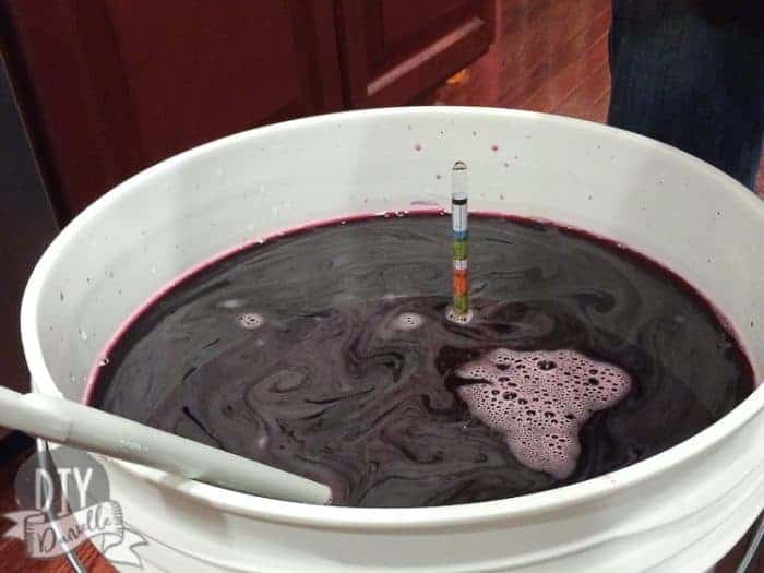 Tips for Making Wine from a Homemade Wine Kit DIY Danielle®