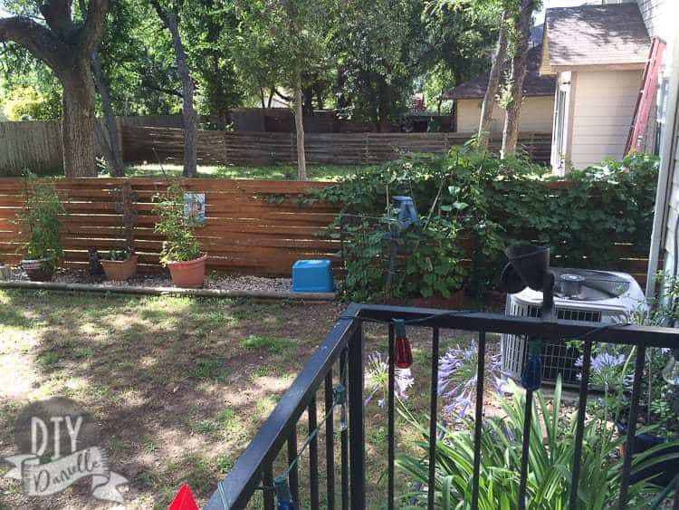 Photo of my mother's garden in her suburban backyard. The cucumbers are growing on a ladder she upcycled and grape vines grow along her fence.