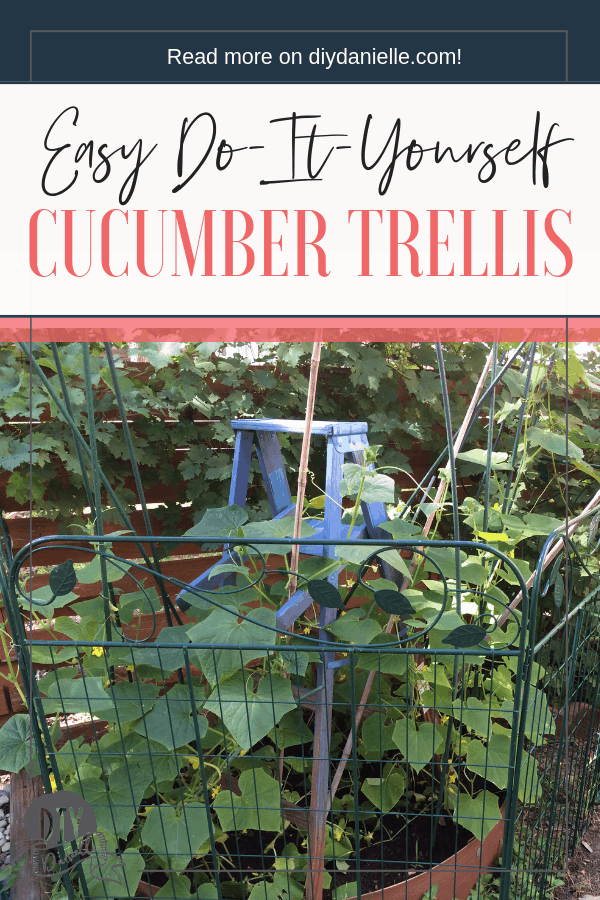 This fantastic cucumber trellis is easy and FAST to DIY. The blue is gorgeous with the green of the cucumber plants!