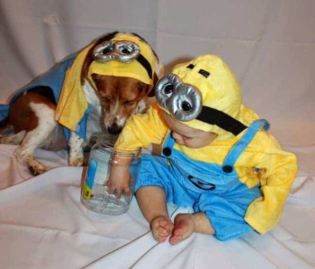 How sweet are these two little Minions!