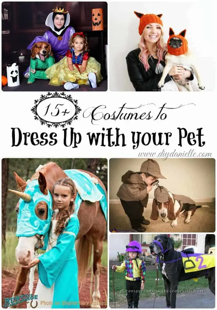 costumes to dress up with pet