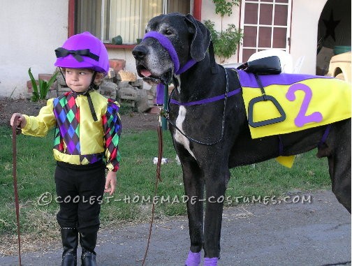 Dress a young child up as a jockey and your great dane as the horse and you've got a great Halloween costume combo!