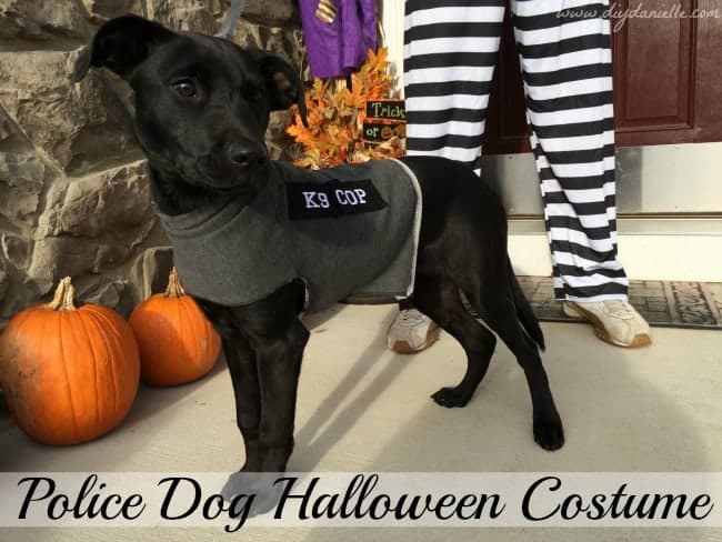 DIY Police Costume and K-9 Dog Halloween Costume