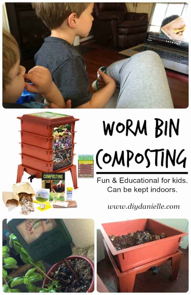 Worm Compost Thermometer - The Squirm Firm