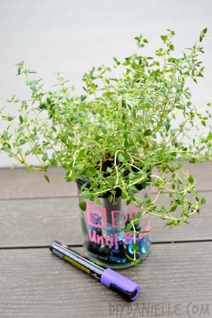 Upcycled wine bottle turned planter!