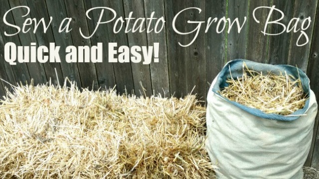 Sew a Simple Potato Grow Bag - DIY Danielle®