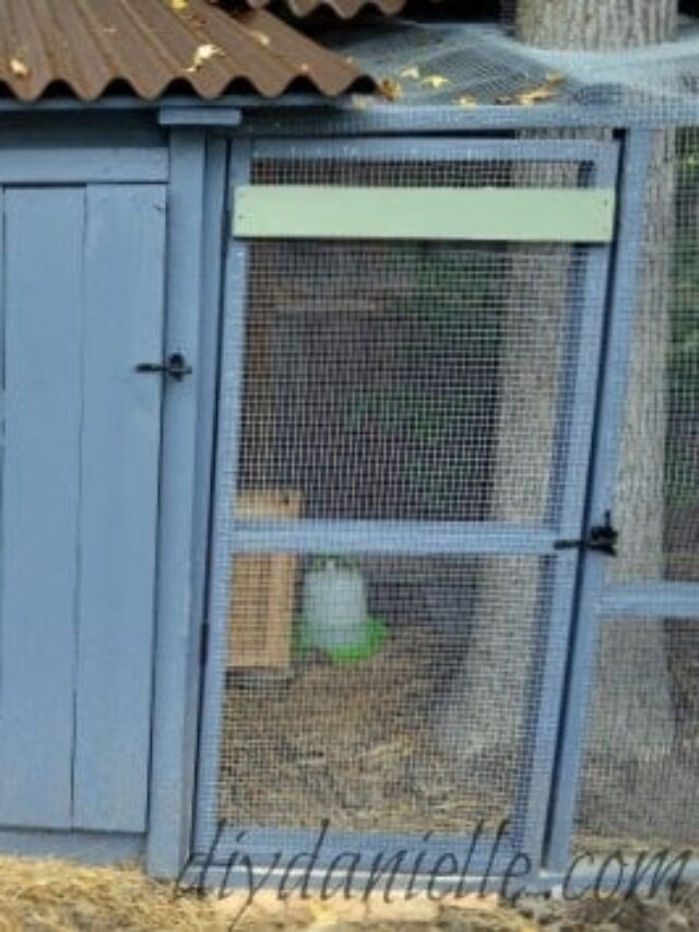 diy-chicken-coop-ideas-diy-danielle