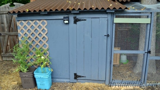 Build An Easy To Clean Duck Coop With Attached Storage Diy Danielle