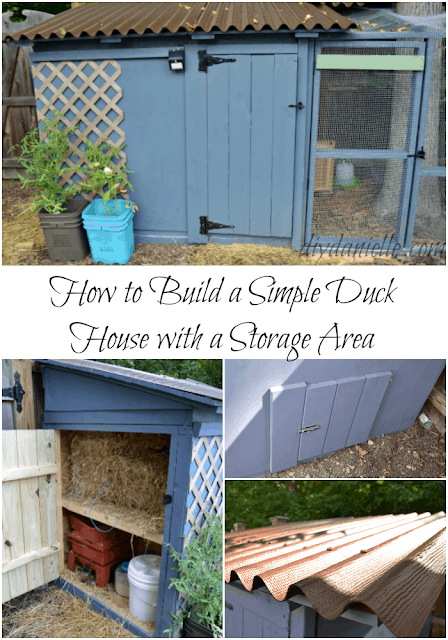 Build An Easy To Clean Duck Coop With Attached Storage Diy Danielle