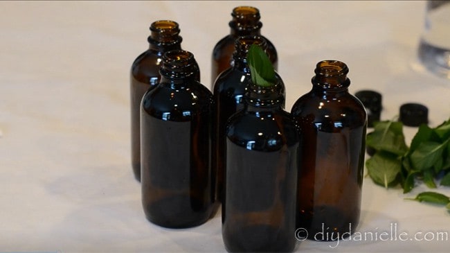 To make mint extract, shove fresh washed leaves in a bottle.
