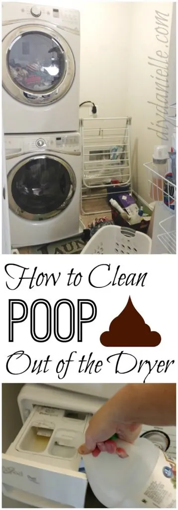 How to clean poop out of the dryer and washing machine.