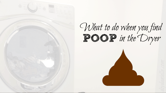 How to clean poop out of the washing machine and dryer.