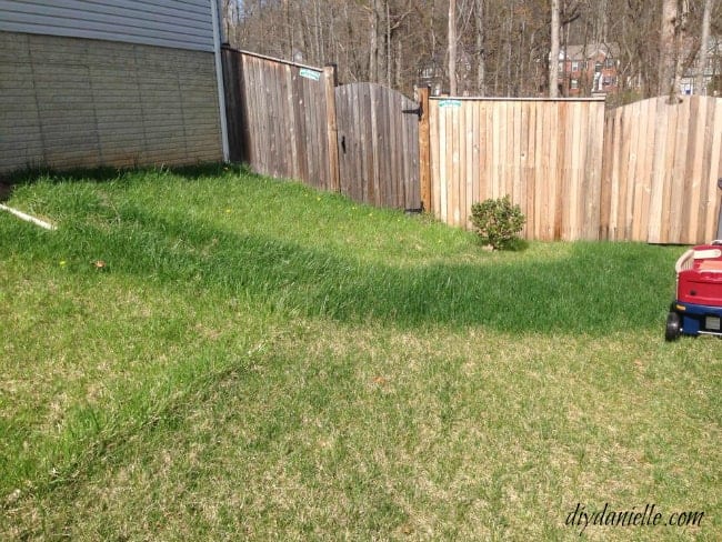 Green path where water drained into our yard.