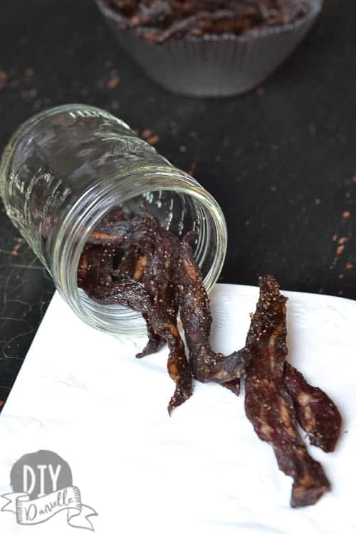 Hickory Smoke Beef Jerky Recipe for a Food Dehydrator - DIY Danielle®