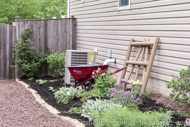 Garden path with red stone, upcycled wheelbarrow, and columbine.