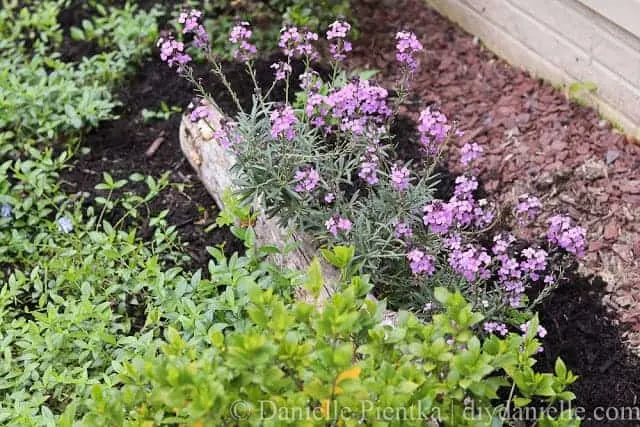 Naturally occurring wood and rocks are great additions for the garden.