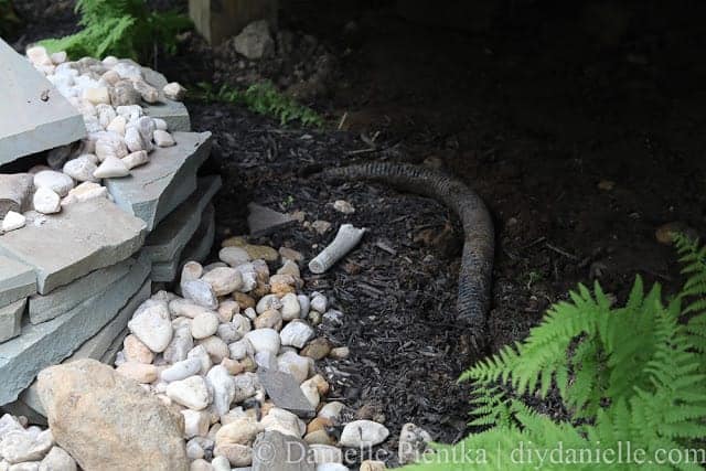 Original plumbing for pond that brings water from filter to fountain.