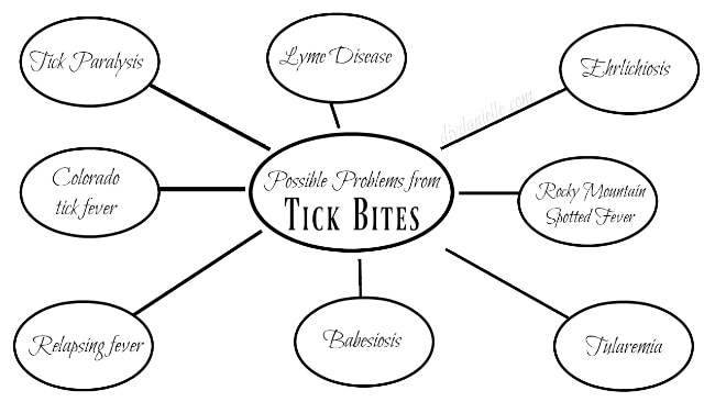 Possible diseases spread by Ticks