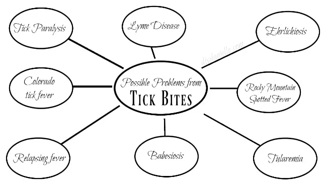 Possible diseases spread by Ticks