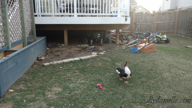 Before photos of the pond and patio area.