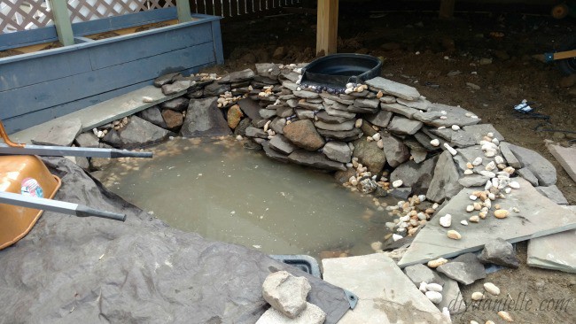 Additional rock, water, and waterfall added to the pond setup.