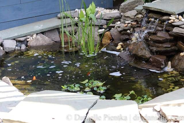 Setting up a small backyard pond.