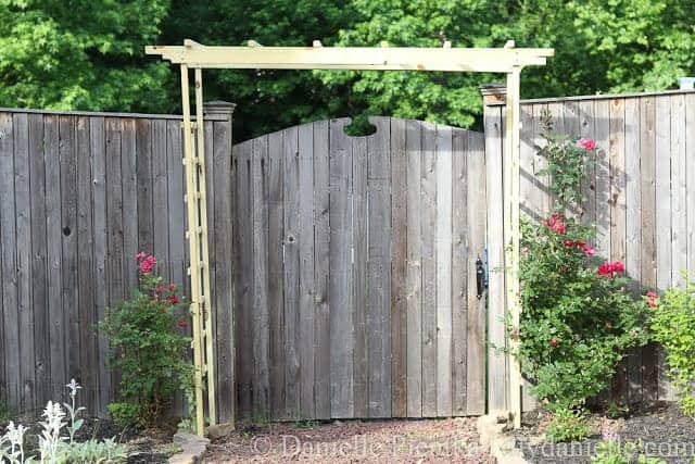Garden arch with a trellis on either side for knockout roses.