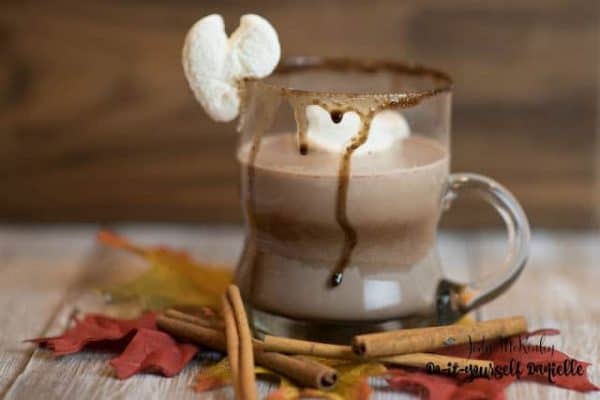 7 Easy Recipes with Rum Chata Liqueur - DIY Danielle®