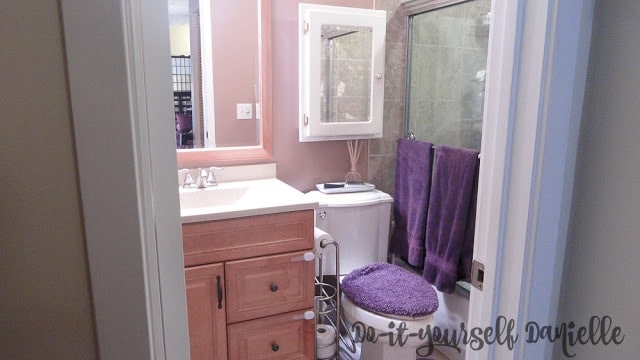 Renovated Tiny Master Bathroom in a 1980's Condominium