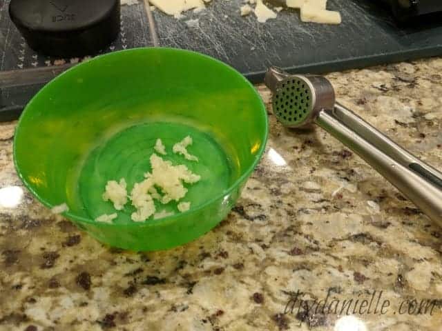 Garlic press, hand held