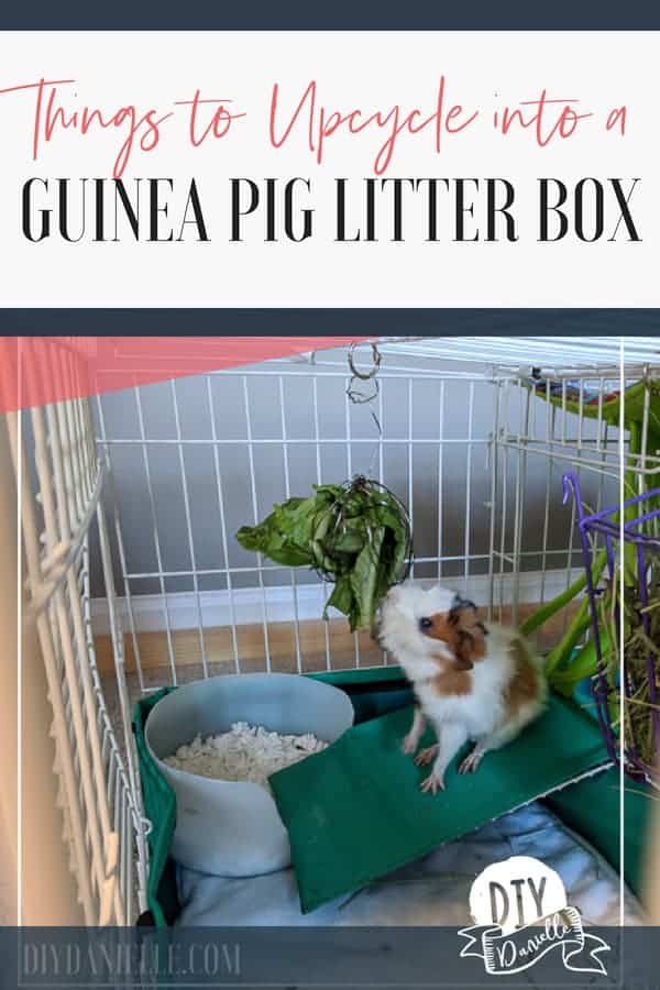 Items you can upcycle into a guinea pig litter box. Several free or cheap litter boxes and how to get your guinea pig to use it.