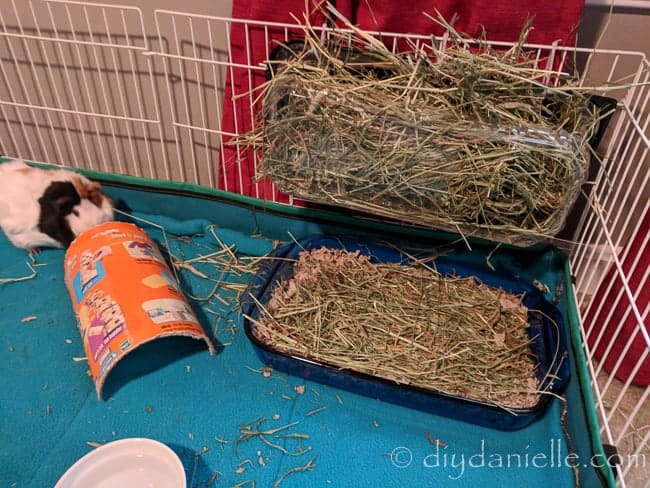 Upcycled items in a guinea pig cage, including a casserole dish for a litter box.