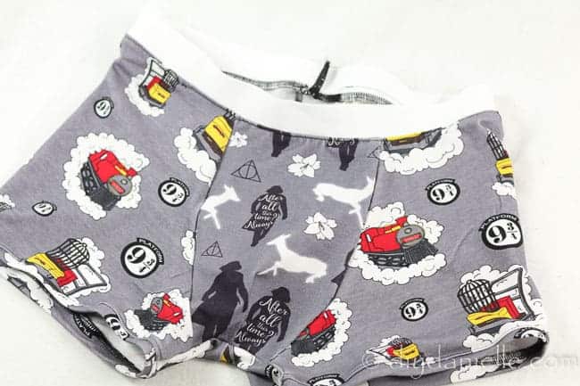 Harry Potter boxer briefs, handmade.