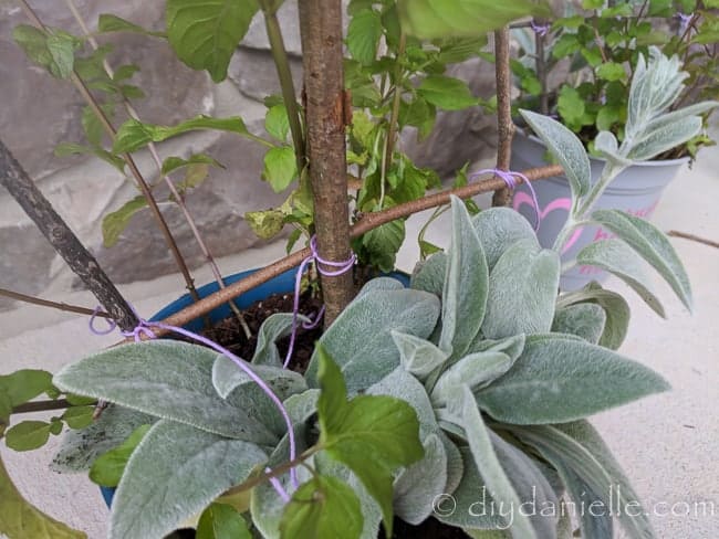 Use twine or embroidery thread to build the twig trellis.