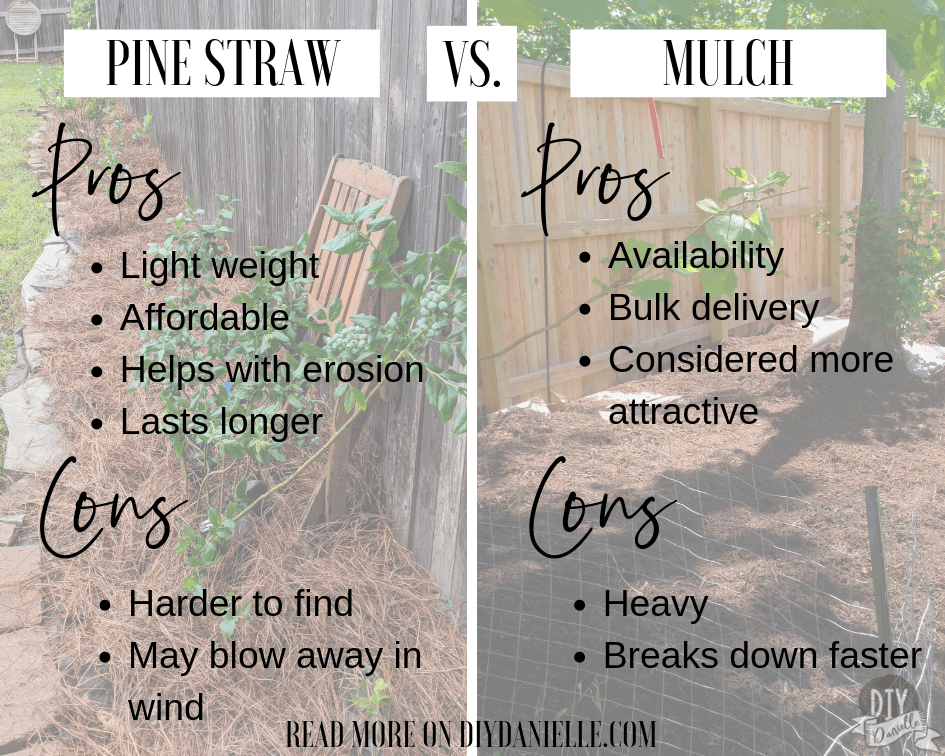 Pinestraw vs. Mulch: Pros and Cons of both.