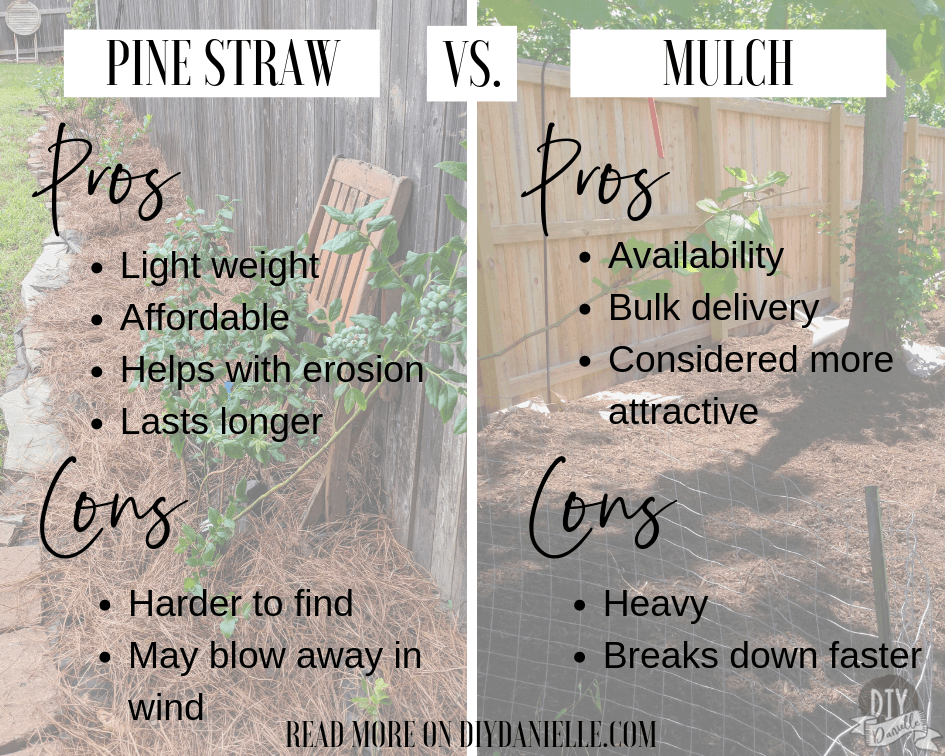 How To Use Pine Needles As Mulch - Where To Use Pine Needles!