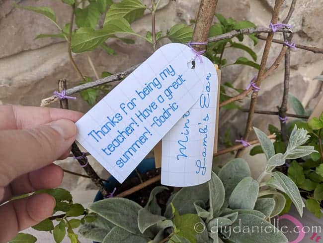 Tags on a homemade planter gift.
