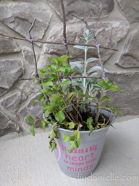 Teacher gift made using plants from the garden and a rustic twig trellis. 