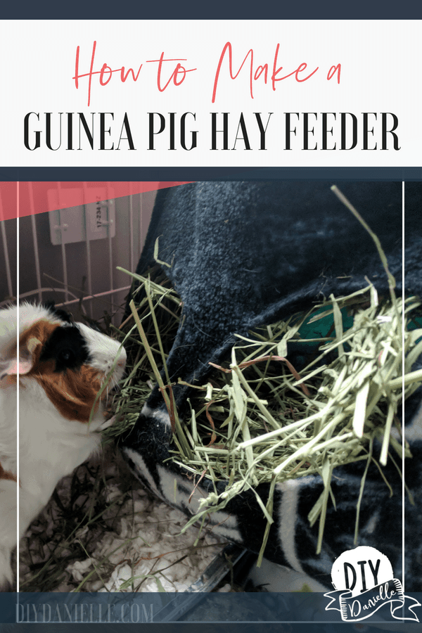 Diy guinea shop pig hay bag