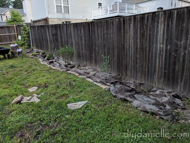 Weed barrier before applying pine straw mulch.