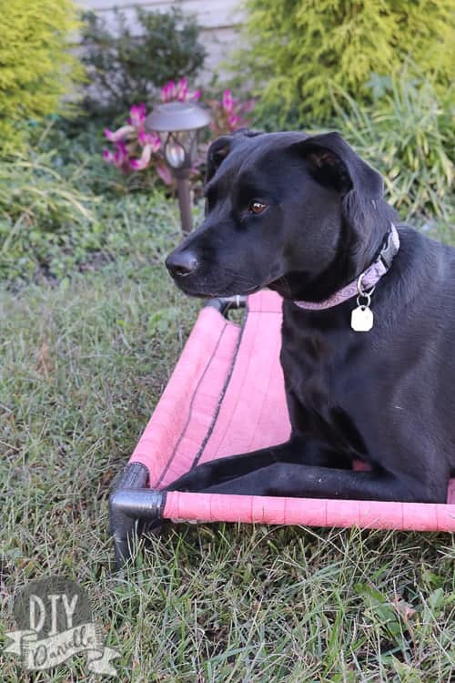 This PVC DIY Dog Bed is easy to make with basic sewing skills. Make two sets of covers for easy washing.