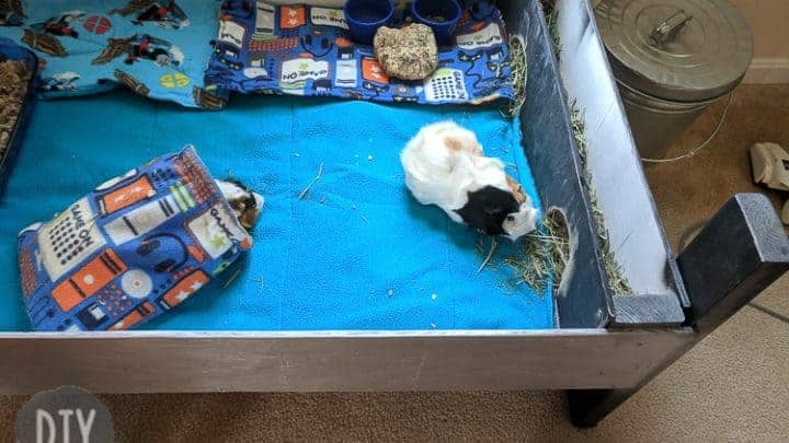 homemade wooden guinea pig cage