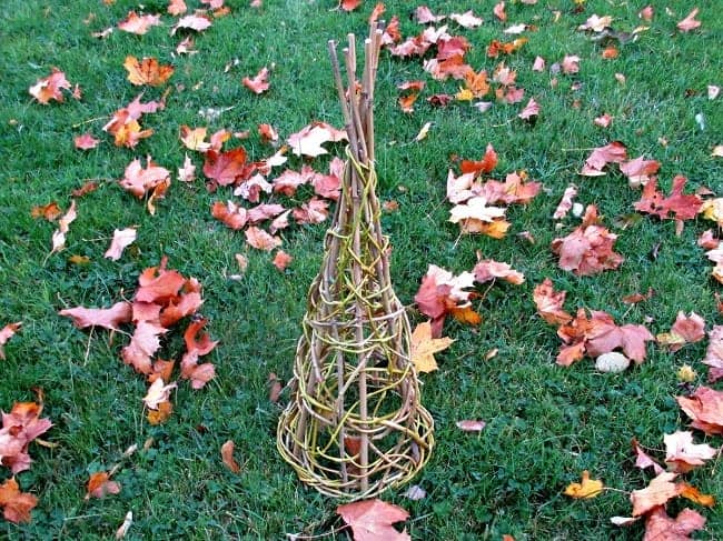 Small trellis cone made from willow branches.