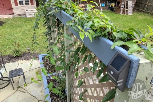 Garden trellis that serves as a privacy planter too.