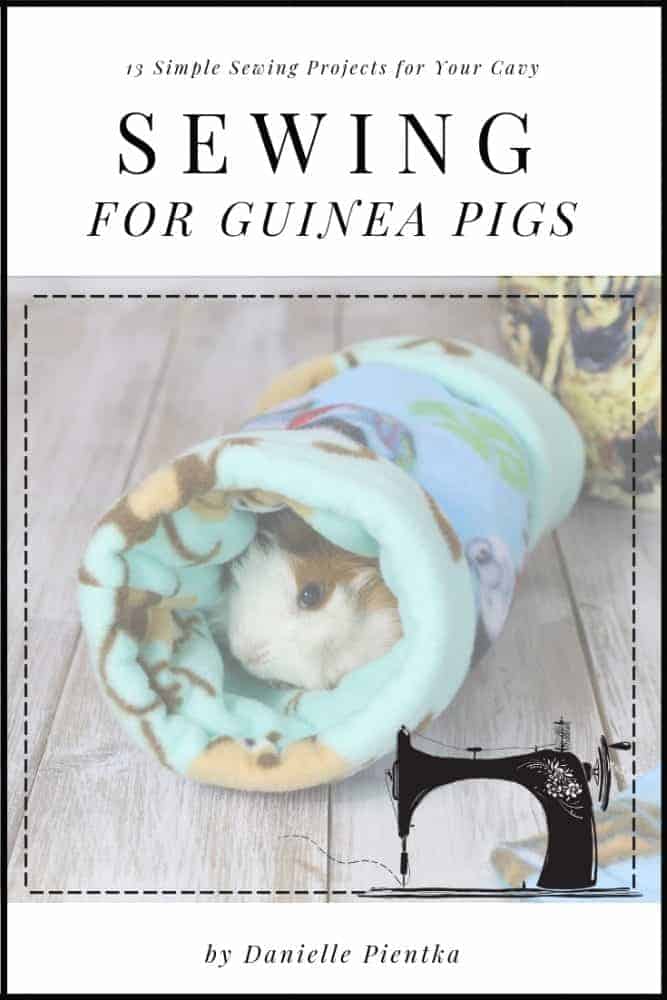 13 Simple Sewing Projects for Your Guinea Pigs DIY Danielle